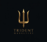 Trident Marketers